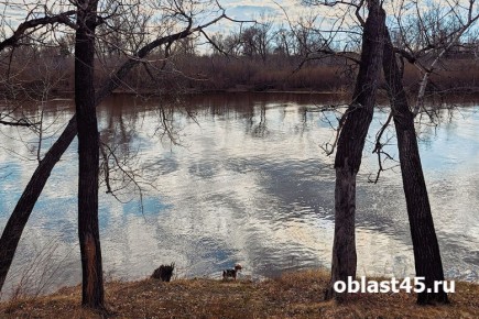 � ������� �� ����� ������ ���� ������ ����� �������� ������