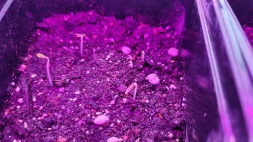 ������ ������ �� ������ � ������������� �������� �������