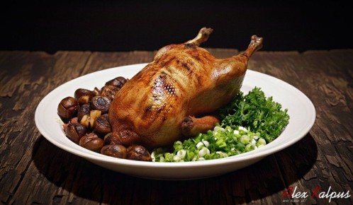 ���� � ���������: ������������ ���������� ������ ��� ����������� �����