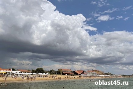 Больше половины курганцев хотят уходить в отпуск на 4 недели и более