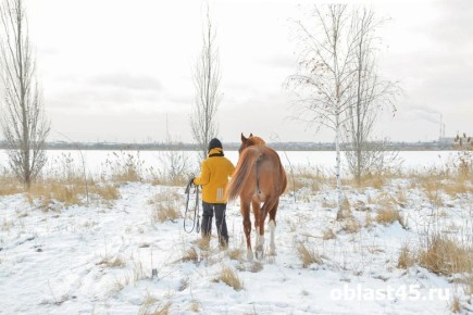 � ������� �� �������� ������ � ���������� ������� ����� �������� �� ���������