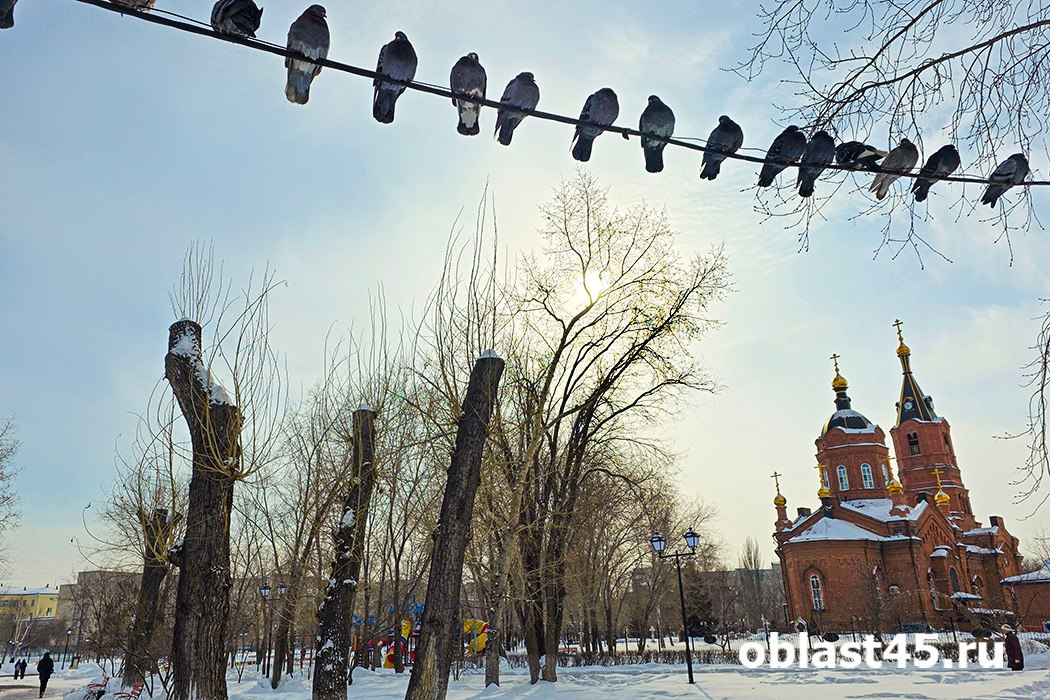 В Курганской области 17 марта ожидаются температурные качели от -12 до +10 градусов