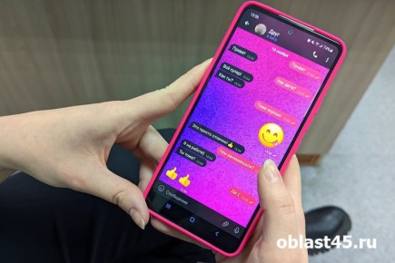 17% курганских водителей не пользуются мессенджерами