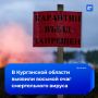 Новый очаг смертельного вируса выявили в Курганской области