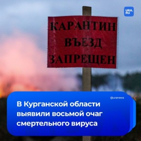 Новый очаг смертельного вируса выявили в Курганской области