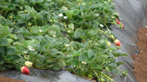 ��� �������� � ��� �������� ���� ����� �����