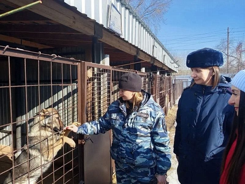 Студенты колледжей посетили с экскурсией Центр кинологической службы УМВД России по Курганской области Студенты колледжей посетили с экскурсией Центр кинологической службы УМВД России по Курганской области