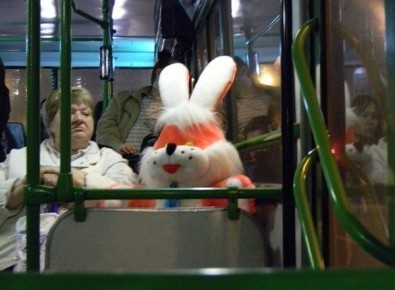 ������ �� ������ � ������������ ����������: ��� ����� ������������ � ��� �� ��������