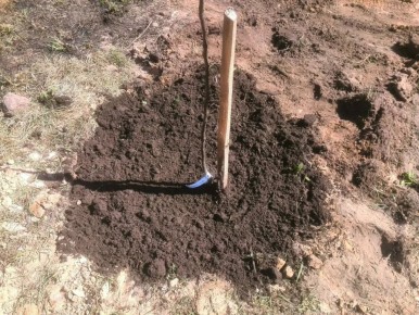 ��� ������ ������ ������ �� ����: �������� ���������� �����