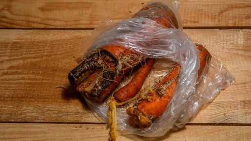 Как сохранить морковь до весны: секреты, которые оценят все дачники