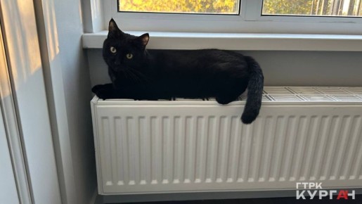 ������ � ����� ������� �� �������� ��������� � ��������� � ��� ���ʻ