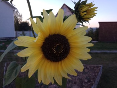 10 ���������������� ������ ��� ������� ������� � ������������� ����