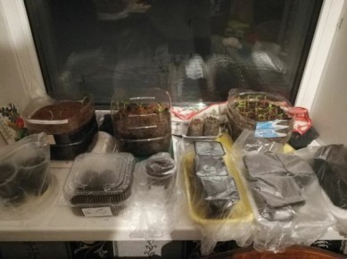 Горшочки и парнички: узнайте, что стоит брать в сад за год использования