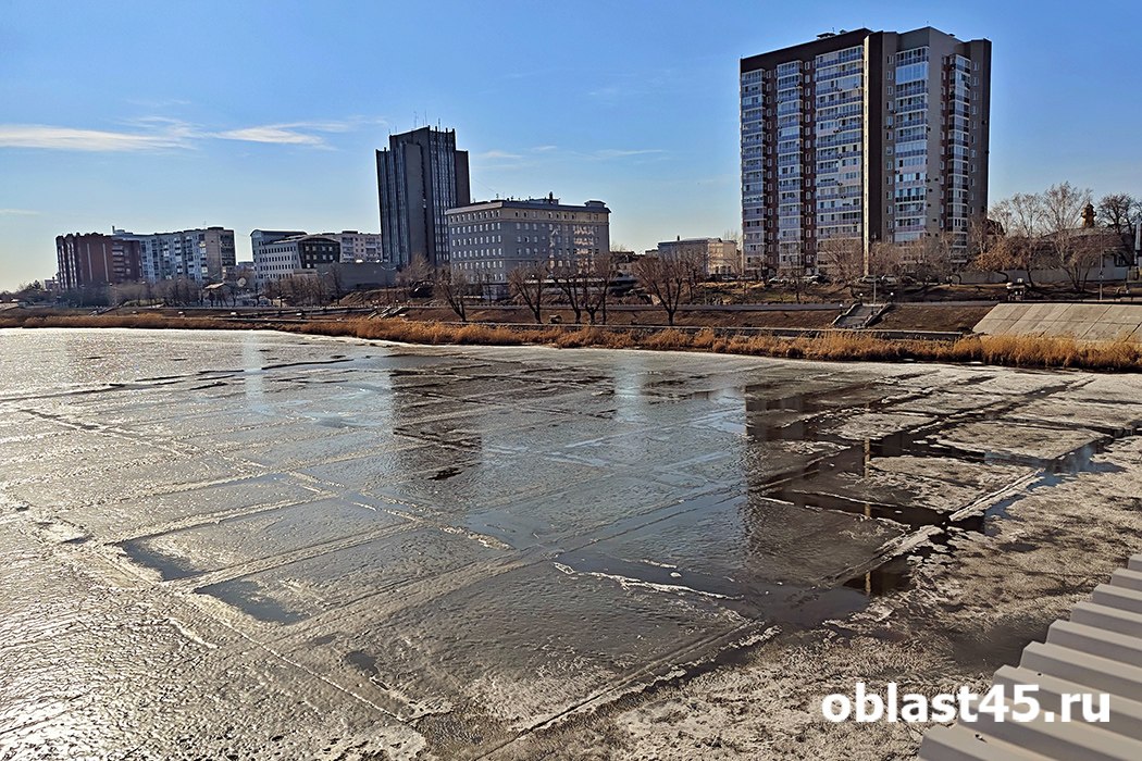 Комариный прогноз: как талые воды превратят регионы в гигантские инкубаторы для гнуса