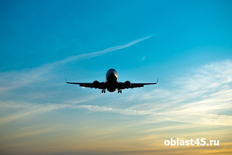 Самолёт из Санкт-Петербурга в Курган прилетит с большим опозданием