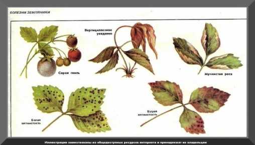 ��� ��������� �� ������ ��������� ����� ����� ������, ����� � ��������� ���� �������� ������