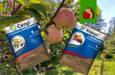 ���� � �����: ����� �������� ������� ��� ����?