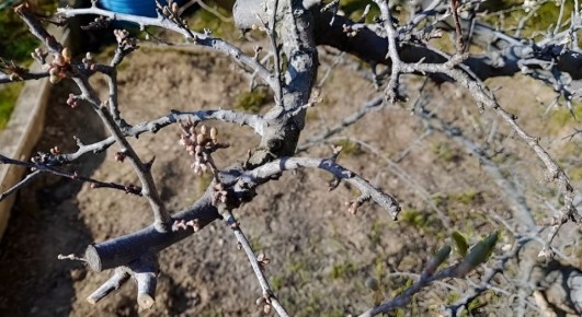 ���� � ���� � �������: �������� ������� ��� ��������