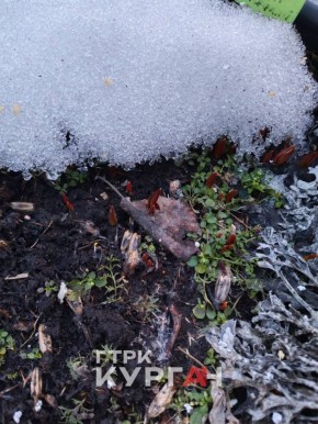 � ������� ��-��� ����� ������������ �������� � ������������ ���