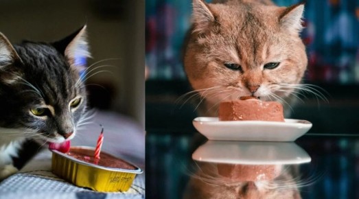 ������ ���� ������������ ���� ����� � ���������