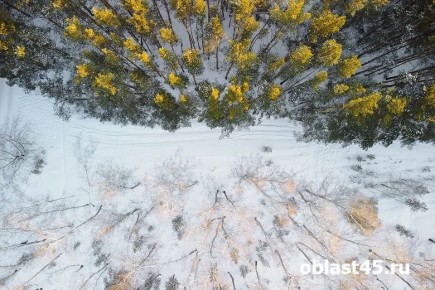 �������� ����� �� ������� ���� ��������� � ���������� ������� 1 ������