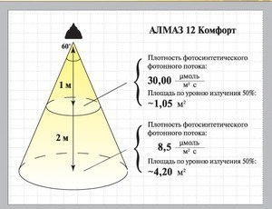 Как выбрать фитолампы для ваших растений: полезные советы и отзывы