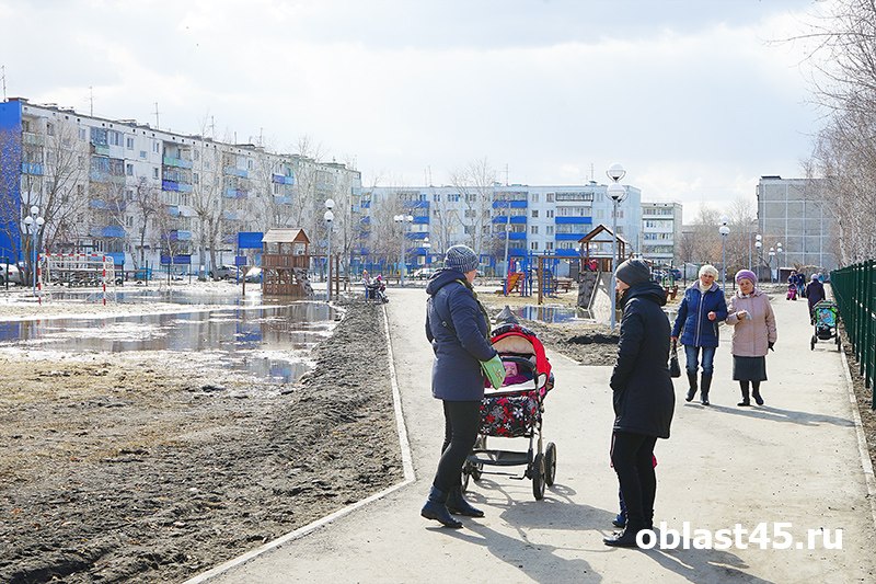 «Так не пойдёт»: Шумков потребовал жёстко навести порядок в грязных дворах Кургана