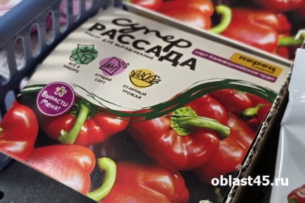 80 ����� ������� ����� �������� ������ � ���� ����