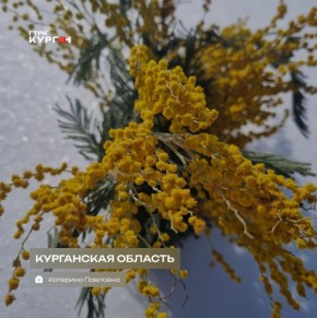 ������ ����, ���������!. ������� � ������� ����� ��������� ������