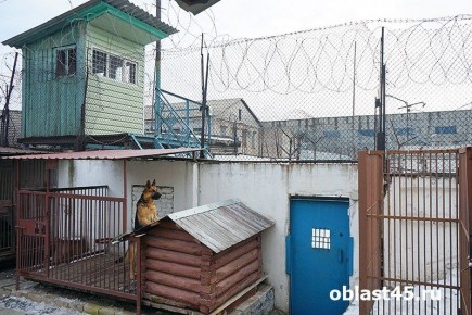 Убийца курганского журналиста Кирсанова приговорен к 11 годам тюрьмы