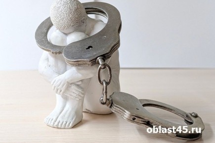 Подростку за убийство и серию разбойных нападений вынесен приговор в Курганской области