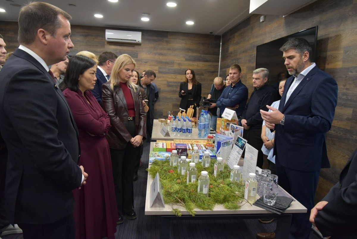 Наука встречает север: уникальный напиток из хвои арктической сосны