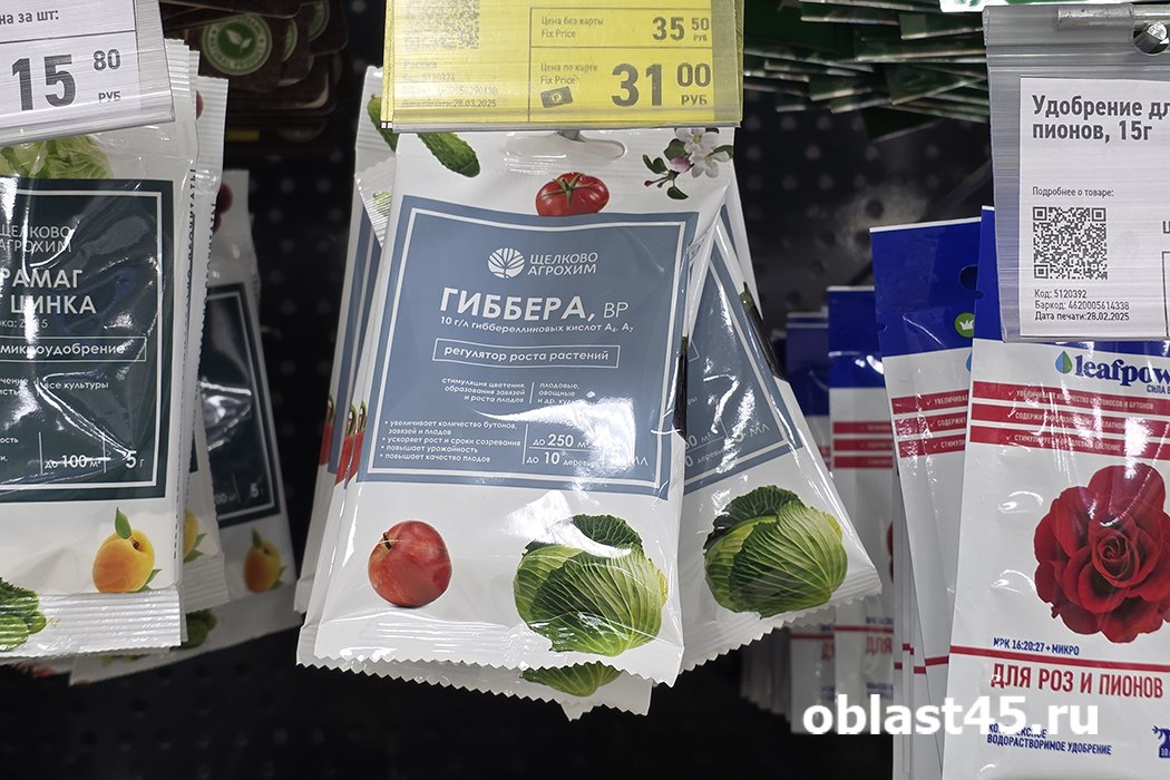 Сезон рассады: когда и что сеять в Кургане