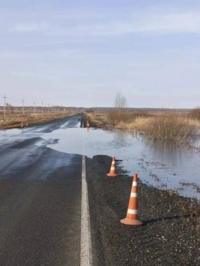 В связи с обильным таянием снега на 19-м километре дороги "Иртыш" - Кипель - Горшково в районе деревни Горшково Шумихинского округа Госавтоинспекция информирует о введении Курганавтодором временного ограничения движения