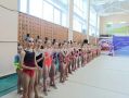 В Кургане стартовал Кубок города по художественной гимнастике