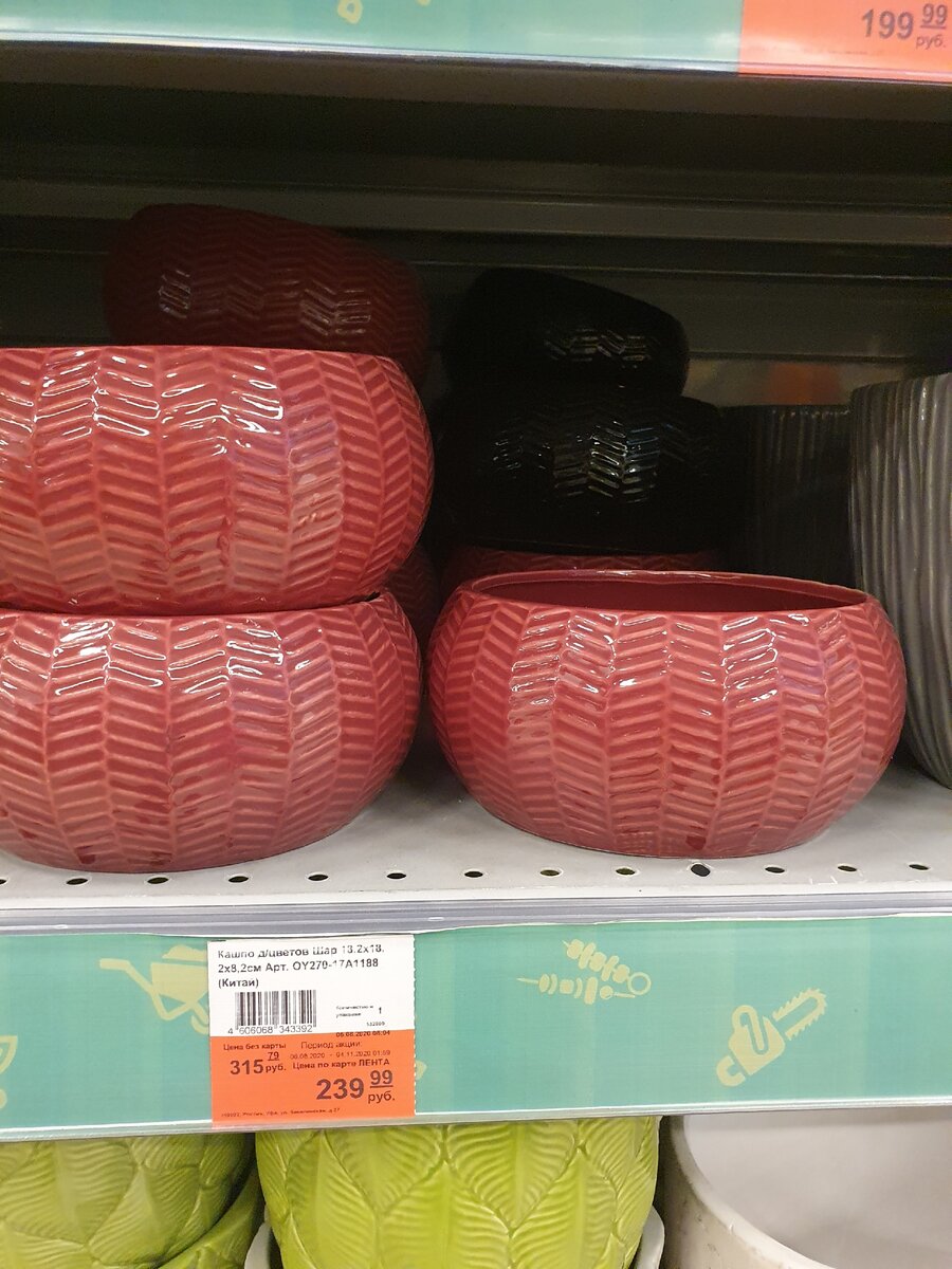 Топ товаров для флорариумов и суккулентов из популярных магазинов