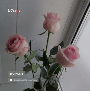 ������ ����, ���������!. ������� � ������� ����� ��������