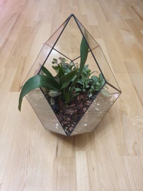 ��� ����������� � ��������� ������ ��������� �����