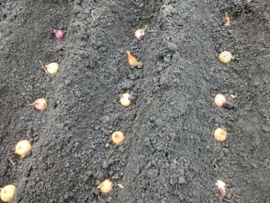 ��� ����������� ��� � ����: ������������ ������ �� ����