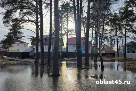 � ���������� ���������� �������� ���������� ��-�� ����������� �����