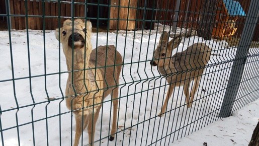 � ������� �������� ��������� � ������ ���������