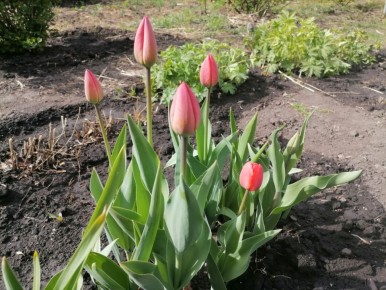 �������� � ������ ������ ����� �� �������� ����