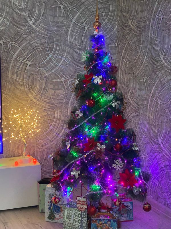 ���������� ����������� �� �����