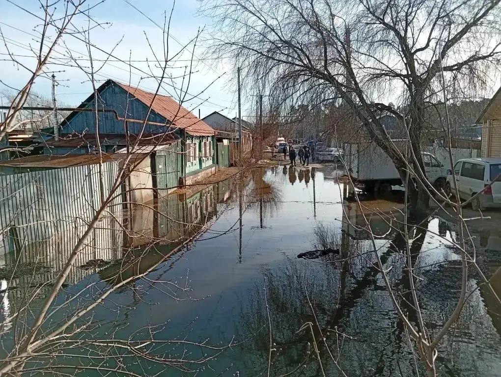 Река Канаш вышла из берегов в Шадринске