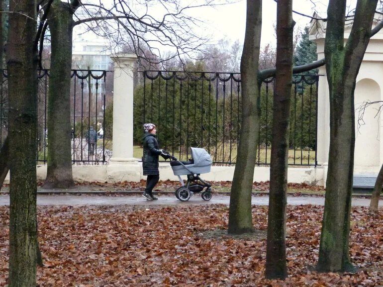 ���� �� ������ �� �������� ��� ������ ����������� � ��������� �����