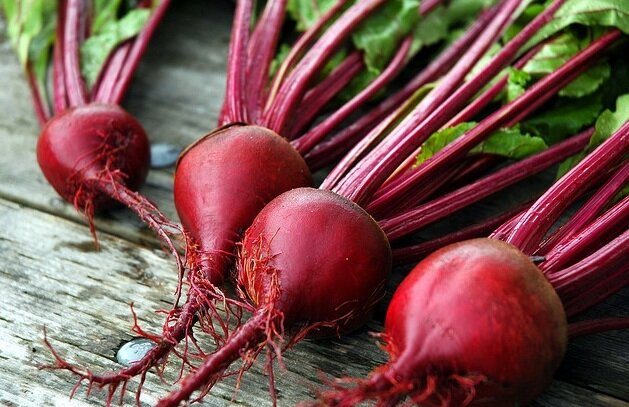 Как добиться сладкой и крупной свеклы: секреты удобрений и подкормок