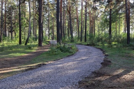 � ���������� ������� � 10 ������ �������� ������������� �����