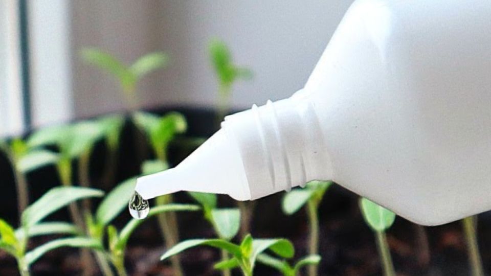 ��� ������� �������� �������� ����� ������ ���� �������