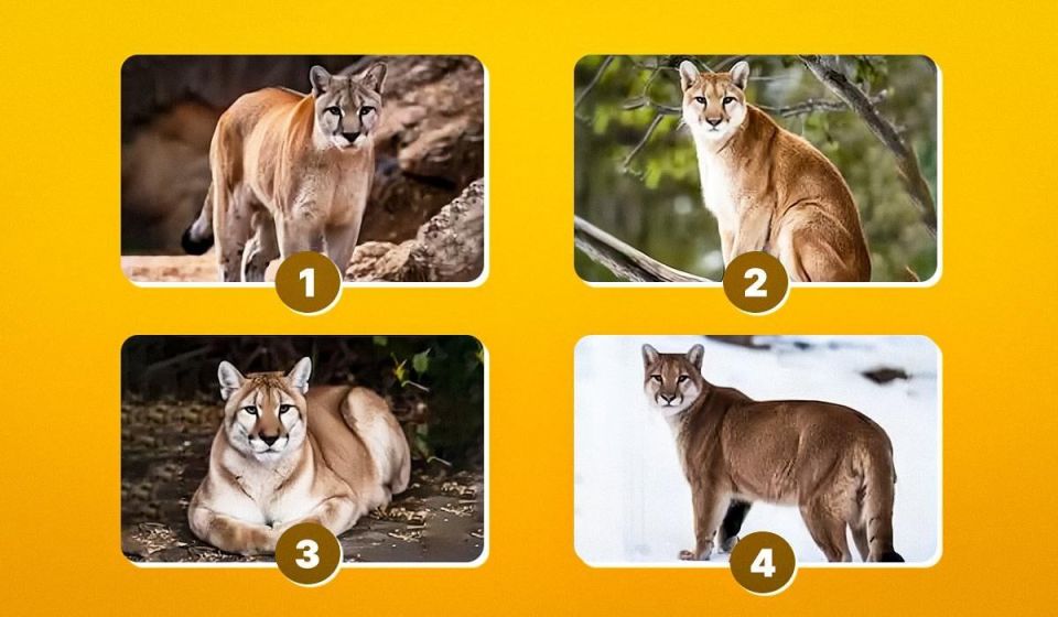 ��� ��� ����� ���� ����� �������� ����� ������ ���������