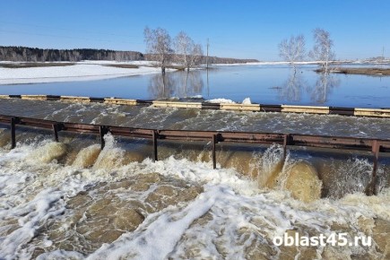 Медиа Курганской области атаковали фейковыми письмами об «эвакуации»